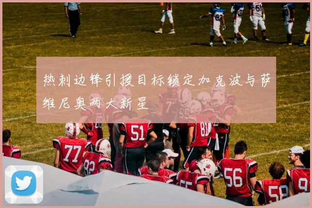 热刺边锋引援目标锁定加克波与萨维尼奥两大新星