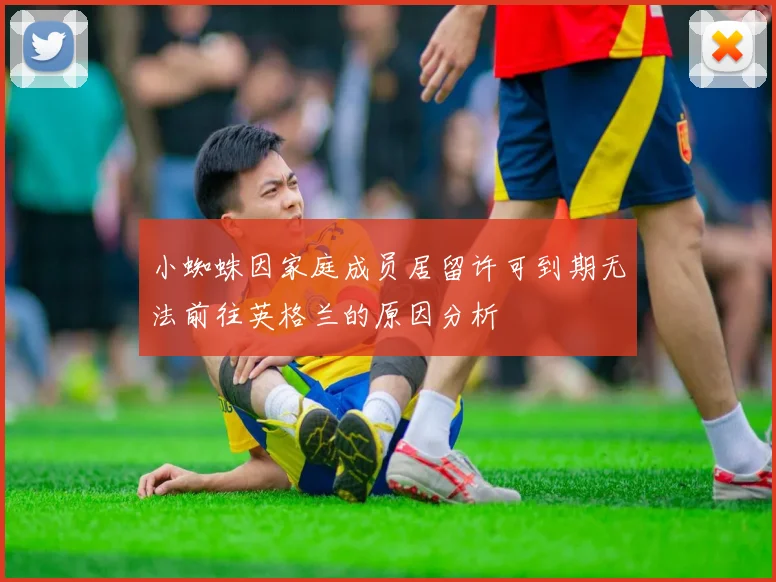 小蜘蛛因家庭成员居留许可到期无法前往英格兰的原因分析