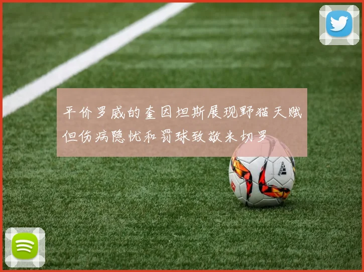 平价罗威的奎因坦斯展现野猫天赋但伤病隐忧和罚球致敬米切罗